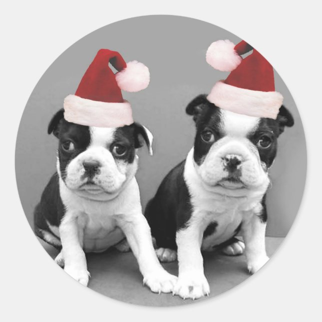 Christmas Boston Terriers Classic Round Sticker (Front)