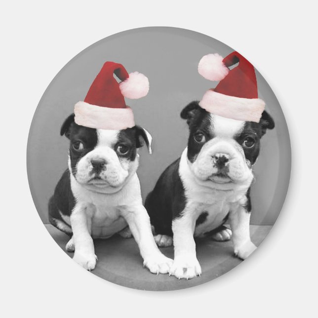 Christmas Boston Terriers Magnet (Front)