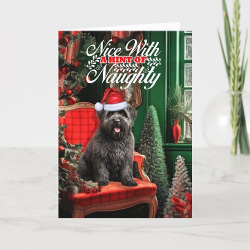 Christmas Bouvier des Flandres Dog Naughty or Nice Holiday Card