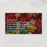 Christmas Bows Colorful Festive Holiday Business Card
