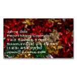 Christmas Bows Colorful Festive Holiday Business Card Magnet