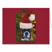 Christmas Boxer dog (Front Horizontal)