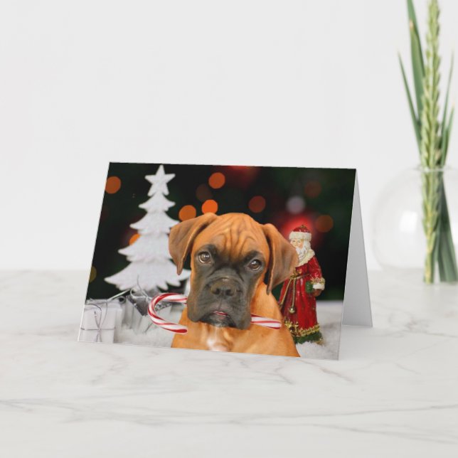Christmas Boxer dog Greeting card (Front)