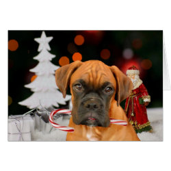 Christmas Boxer dog Greeting card