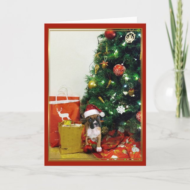 Christmas boxer dog greeting card (Front)
