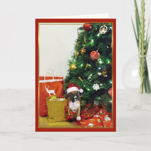Christmas boxer dog greeting card