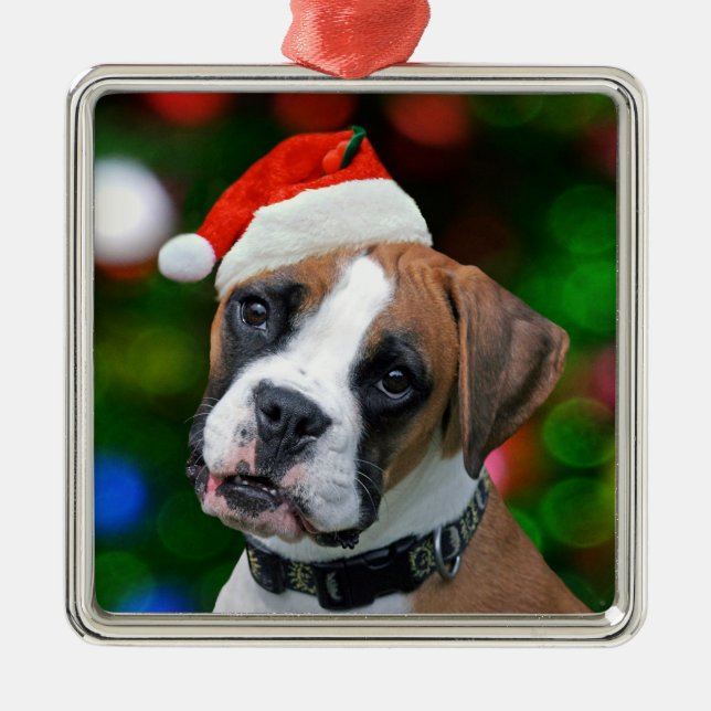 Christmas Boxer Metal Ornament (Front)