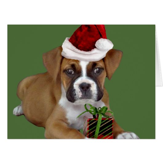 Christmas Boxer puppy (Front Horizontal)