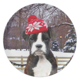 Christmas boxer puppy dinner plate