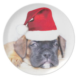 Christmas boxer puppy plate