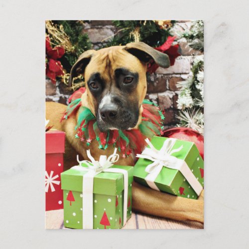 Christmas _ Boxer _ Vinny Holiday Postcard