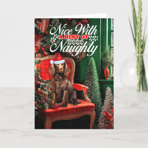 Christmas Boykin Spaniel Dog Naughty or Nice Holiday Card