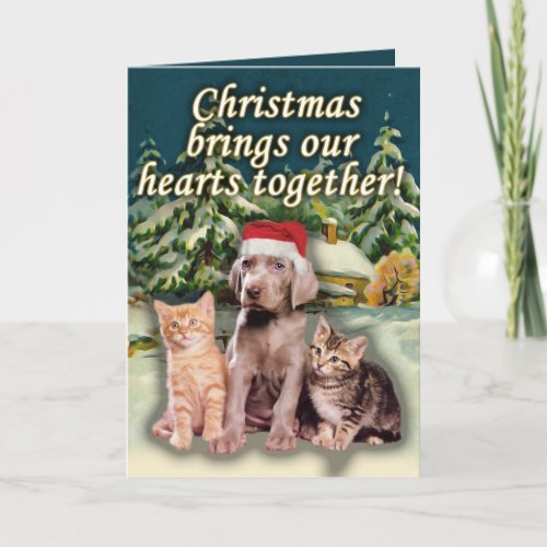 Christmas Brings Our Hearts Together Puppy Kitten Holiday Card