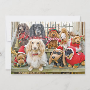 Christmas brings the whole family together holiday card