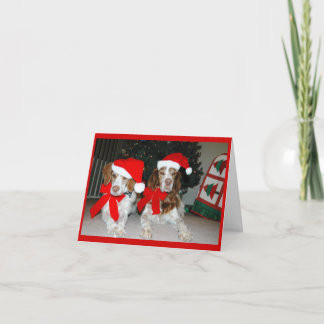 CHRISTMAS BRITTANY HOLIDAY CARD
