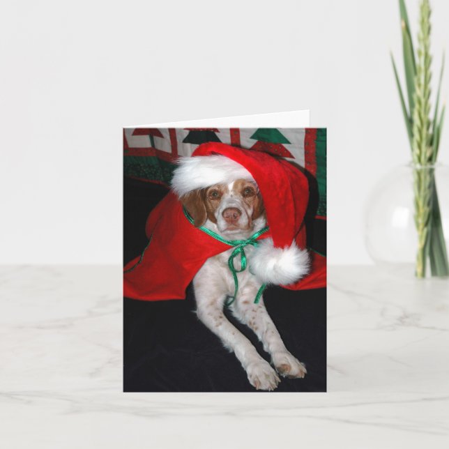 CHRISTMAS BRITTANY HOLIDAY CARD (Front)