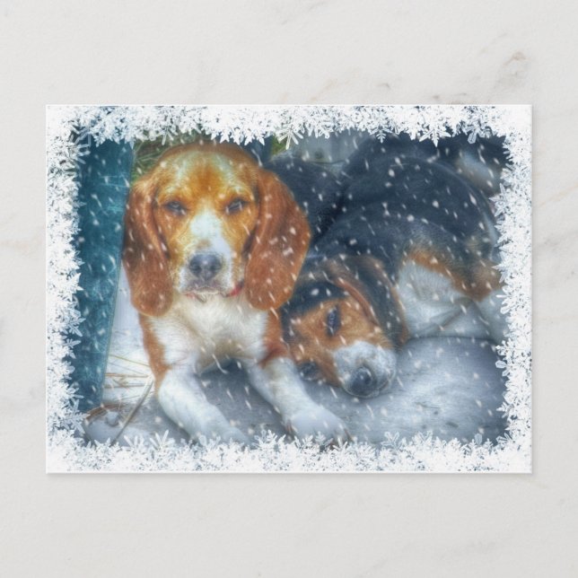 Christmas Brothers Holiday Postcard (Front)