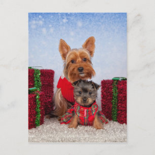 Christmas Buddies Holiday Postcard