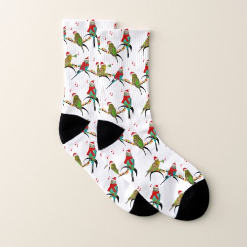 Christmas Budgie Frenzy Socks choose color