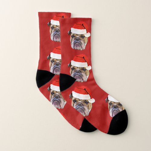 Christmas Bulldog holiday socks