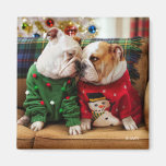 Christmas Bulldogs in Sweaters Magnet