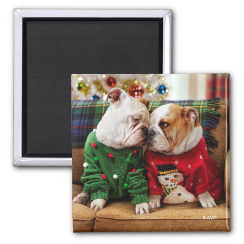 Christmas Bulldogs in Sweaters Magnet