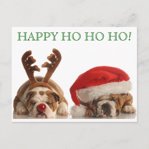 Christmas Bulldogs Postcard 2