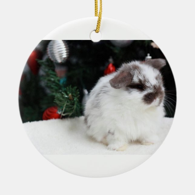 Christmas Bunny Ceramic Ornament (Front)