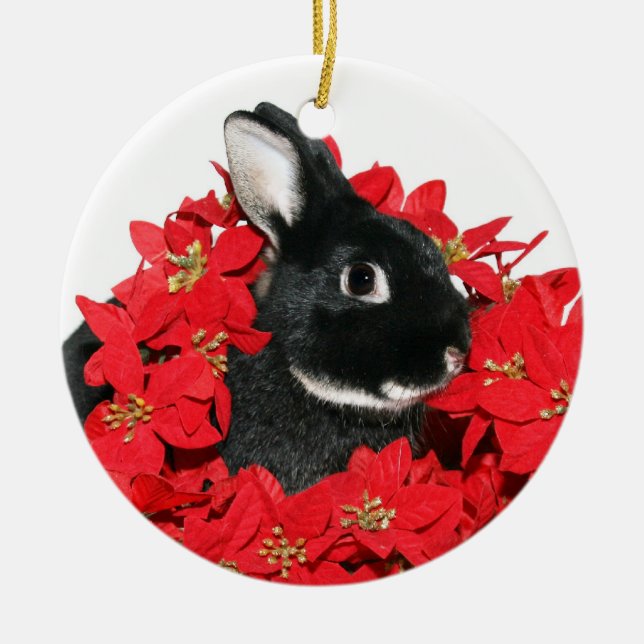 Christmas bunny ceramic ornament (Front)