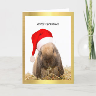 "Christmas Bunny" design Christmas cards