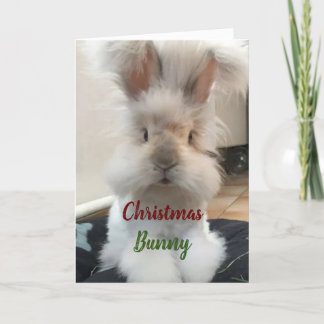 **CHRISTMAS BUNNY FOR MY HONEY" HOLIDAY CARD