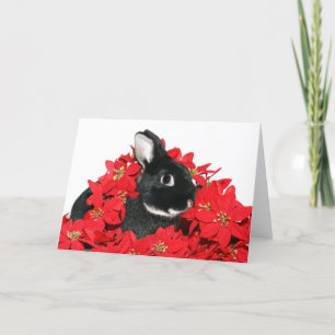 Christmas bunny holiday card