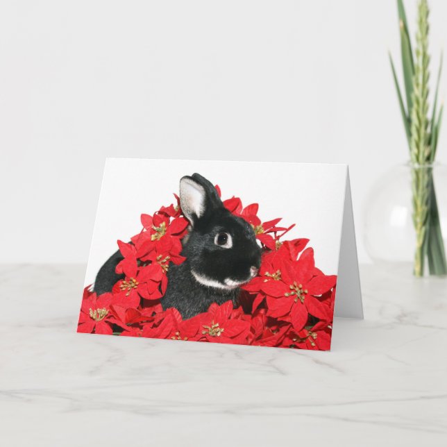 Christmas bunny holiday card (Front)