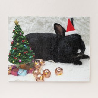 Christmas Bunny Rabbit in a Santa Hat