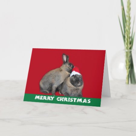 Christmas Bunny Rabbits Santa Hat Red Holiday Card