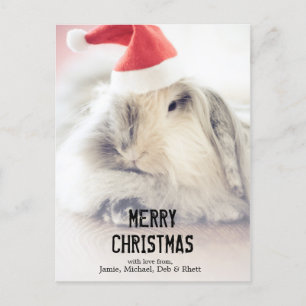 Christmas bunny with cute hat holiday postcard