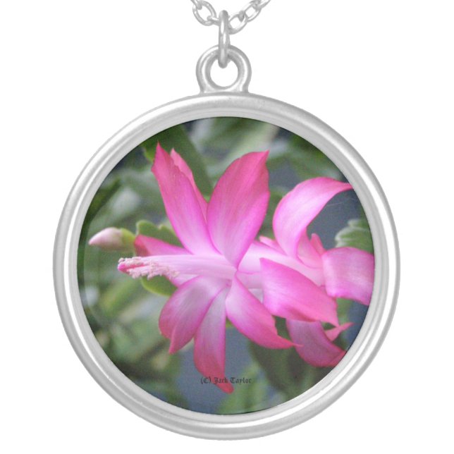 Christmas Cactus #01 Silver Plated Necklace (Front)