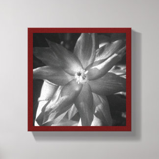 christmas cactus canvas print