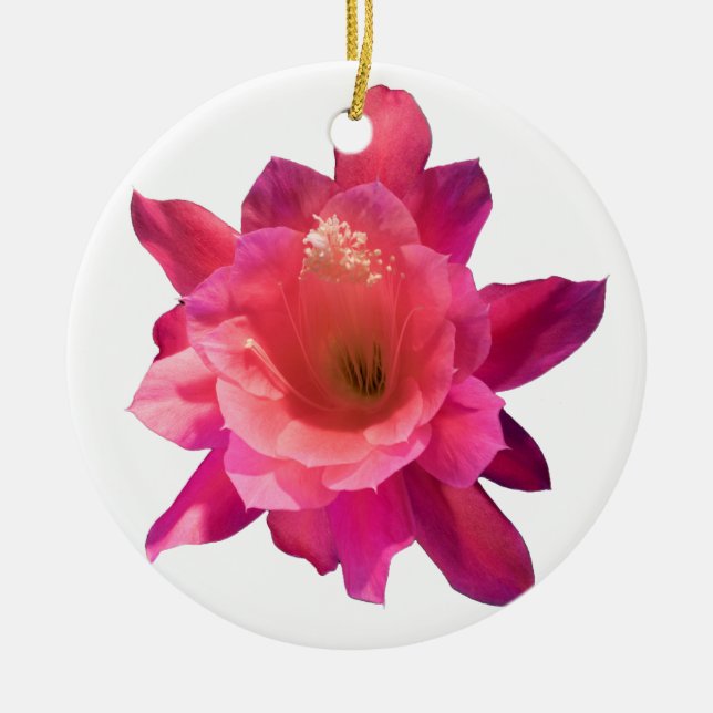 Christmas Cactus Ceramic Ornament (Front)