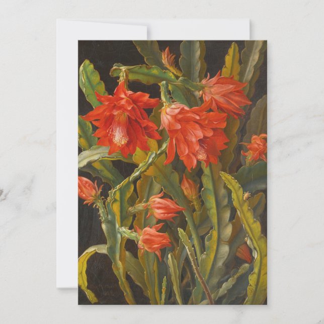 Christmas Cactus |  Christian Möllback Holiday Card (Front)