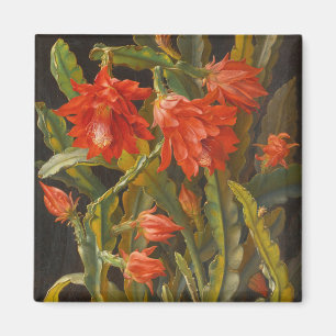 Christmas Cactus    Christian Möllback Magnet