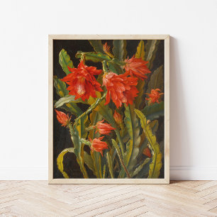 Christmas Cactus Christian Möllback Poster