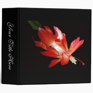 Christmas Cactus Epiphyte Binder