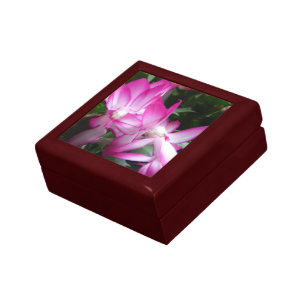 Christmas Cactus Flowers Gift Box