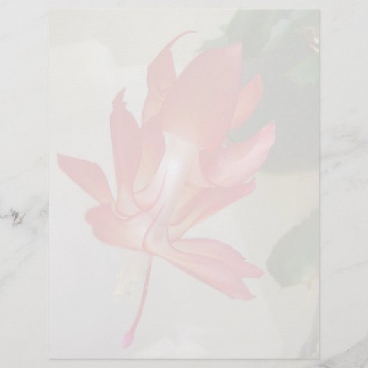 Christmas Cactus Letterhead (Front)