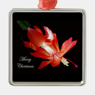 Christmas Cactus Merry Christmas Ornament