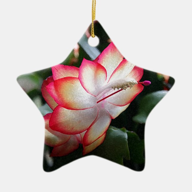 Christmas Cactus 'Samba Brazil' Ceramic Ornament (Front)