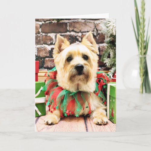 Christmas _ Cairn Terrier _ Lola Holiday Card