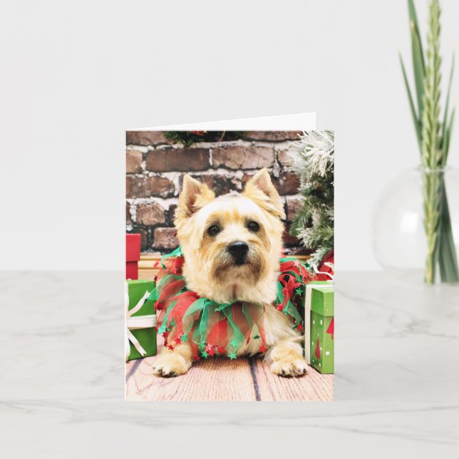 Christmas - Cairn Terrier - Lola Holiday Card (Front)