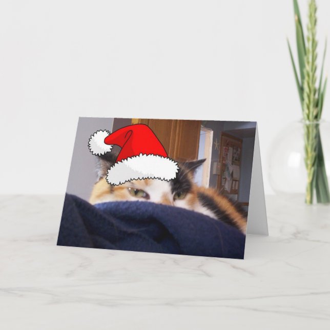Christmas Calico Cat Holiday Card (Front)